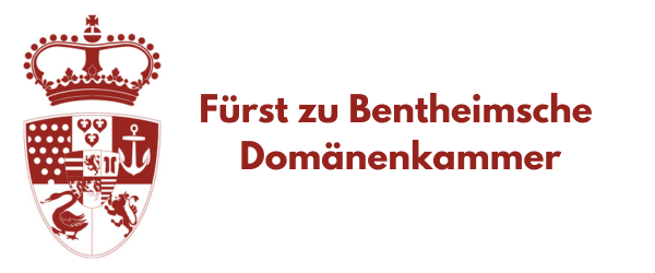 website logo